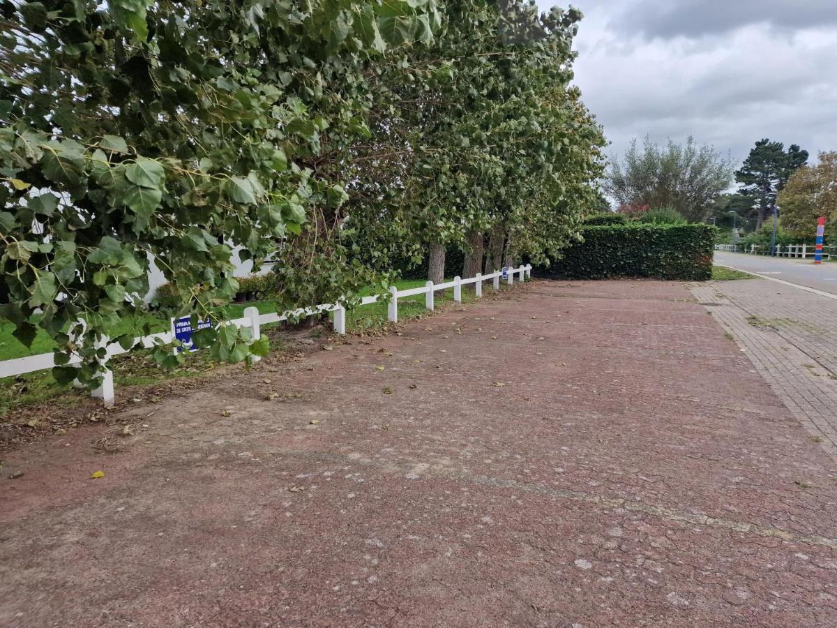 - Grote Zeemeeuwen Holiday home