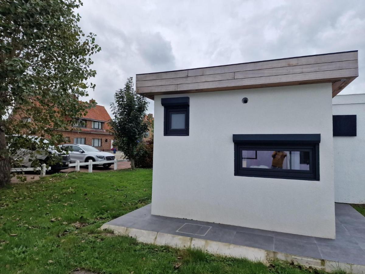 - Grote Zeemeeuwen